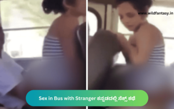 Sex in Bus with Stranger